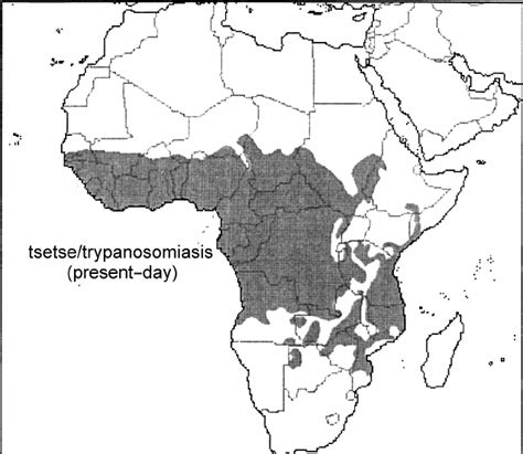 Present Day Distribution Of Tsetse And Trypanosomiasis Zone In Africa Download Scientific Diagram