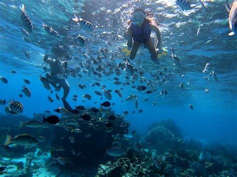 Cayman Snorkel West Bay 2019 All You Need To Know Before You Go