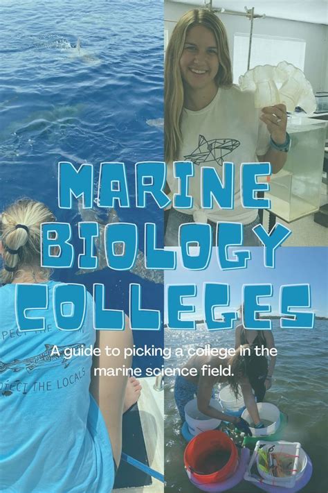 Marine Biology Colleges A Guide To Choosing A College In The Marine