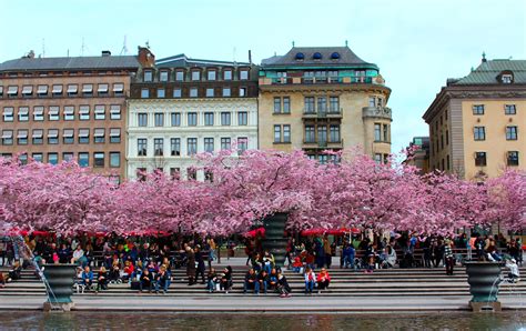 a guide to three days in stockholm sweden travel visit stockholm south america travel
