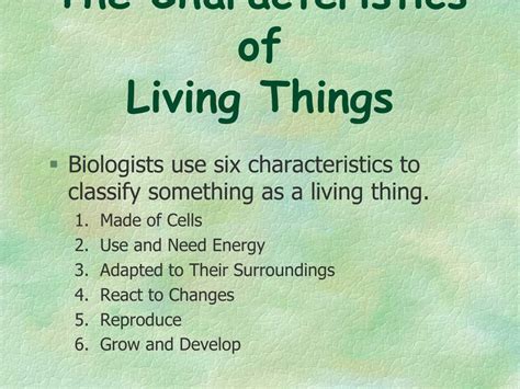 Ppt The Characteristics Of Living Things Powerpoint Presentation