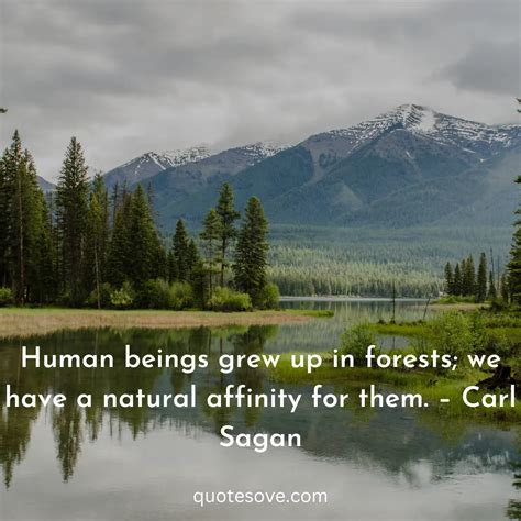 101 Best Nature Quotes For Instagram And Captions Quotesove