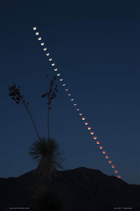 Astronomy Daily Picture For January 19 Total Lunar Eclipse At Moonset