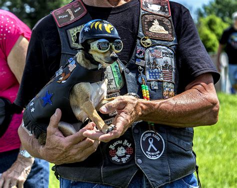 Just 14 Dogs Rocking Goggles Like You Wouldnt Believe