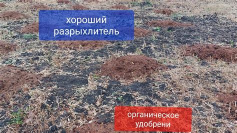 Разрыхления тяжёлой почвы. Тяжёлый грунт привёл к плохим последствиям ...