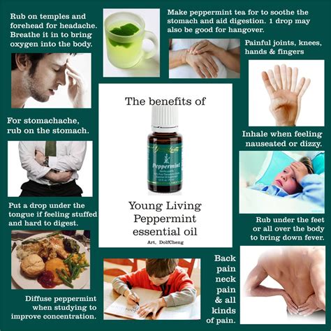 Young living essential oils philippines. Pin on Young Living Essential Oil Collection Everyday Oils