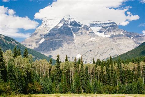 Mount Robson Towering Over Evergreen Forest Stock Image Image Of