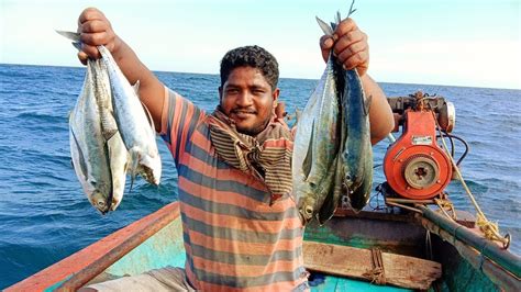 Fish cutlet | yummy & crispy in malayalam with english subtitles. Amazing Horse Mackerel Fish Catching Skill ! Catching ...
