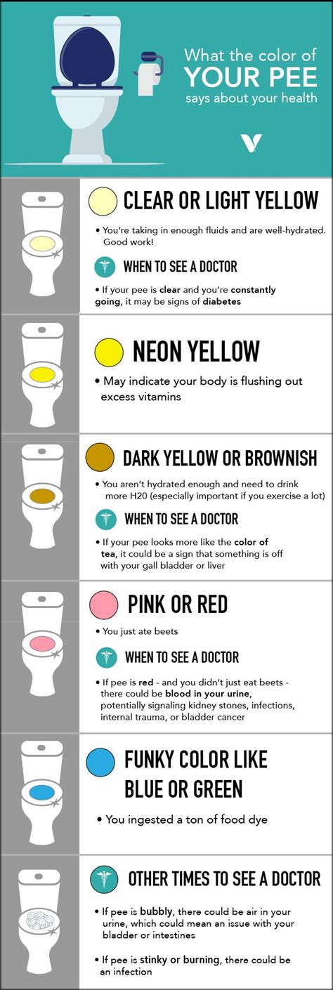 What The Color Of Your Pee Says About Your Health What S Good By V
