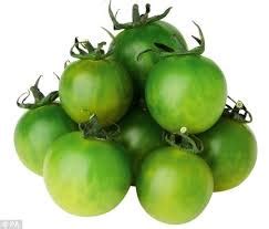 Check out our dwarf tomato plants selection for the very best in unique or custom, handmade pieces from our craft supplies & tools shops. Dwarf Tomato Plants - Texas-Heirloom-Tomatoes