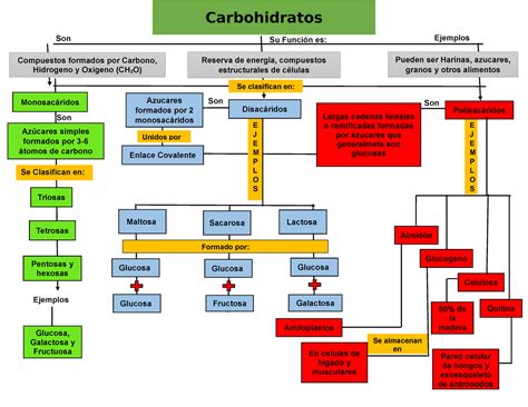 Top Imagen Mapa Mental De Carbohidratos Viaterra Mx