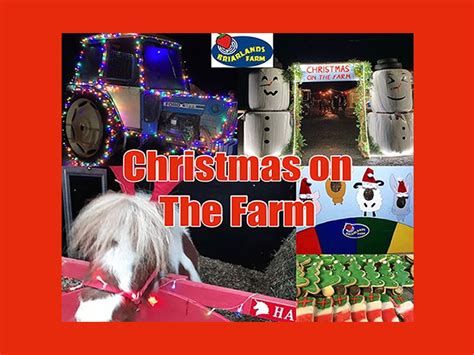 Christmas On The Farm At Briarlands Farm Stirling Whats On Stirling