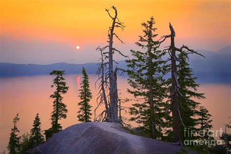 Crater Lake Trees Photograph By Inge Johnsson Pixels