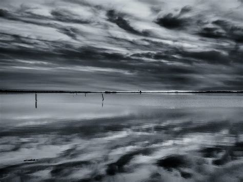 Arcata Bay Reflections In Black And White Photograph By Greg Nyquist