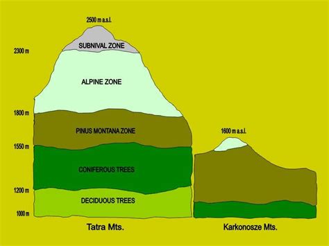 Altitudinal Zones Photos Diagrams And Topos Summitpost