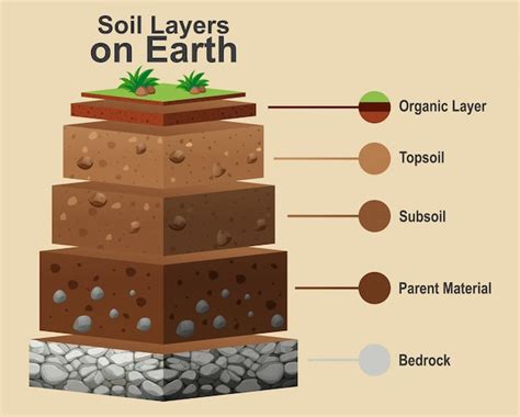 A Diagram Showing The Different Types Of Soil For Pla