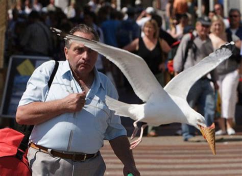 35 Of The Best Perfectly Timed Photos Of All Time Boredombash