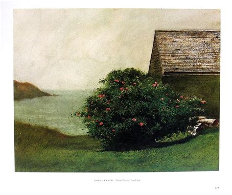 James Wyeth Art Island Roses Bale 1987 Vintage Book Page Etsy Jamie