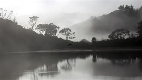 Grayscale Photography Of Body Of Water Near Trees And Mountain Lake