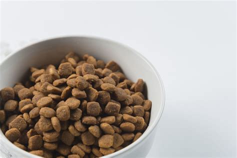 Green pea & chicken dry cat formula. Natural Balance Dog Food Reviews, Coupons and Recalls 2020