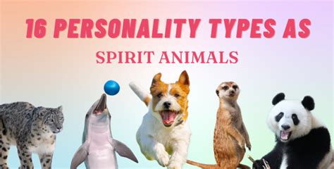 Spirit Animals Of The 16 Personality Types So Syncd