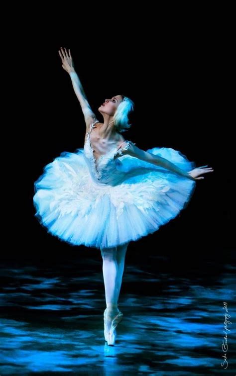 Pin By Ian Males On ・вαℓℓεт Dance Photography Ballet Beautiful