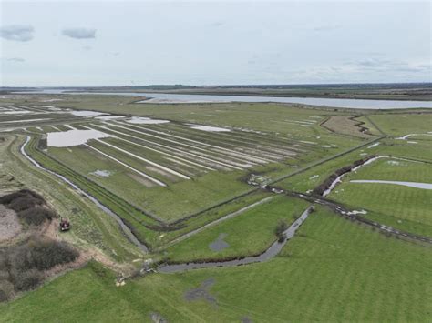 Essex Wildlife Trust Completes 40 Hectare Wetland Project At Blue House