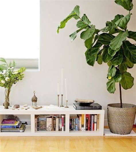 You won't even have to leave home to achieve that same sense of bliss you get in your favorite yoga studio. 5 Habits To Steal from Yogis for a Happy Home | Yoga ...