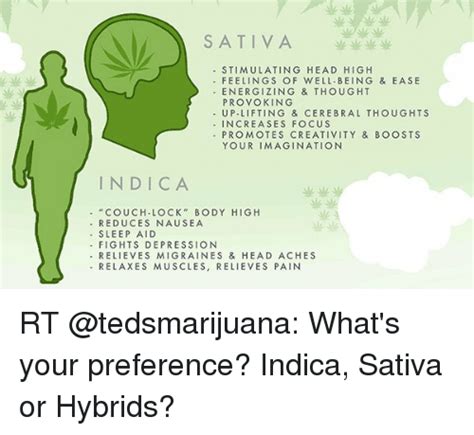 Sativa Stimulating Head High Feelings Of Well Being And Ease Energize Ing