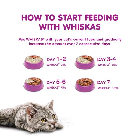 Promo Whiskas® Makanan Kucing Kering Dewasa Rasa Mackerel 480 G 1 Bag
