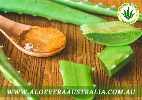Biological Properties And Clinical Effectiveness Of Aloe Vera Aloe