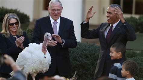 in lame duck year obama kicks off holiday season pardoning thanksgiving turkey fox news