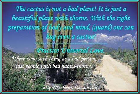 Cactus Quotes Love Quotesgram