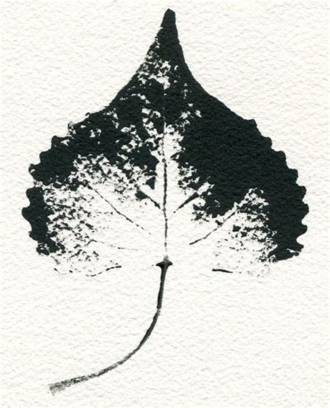Image Result For Cottonwood Leaf Cottonwood Leaf Cottonwood Leaves