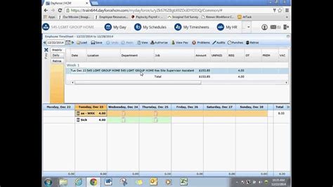 Employee Dayforce Timekeeping And Self Service Training Youtube