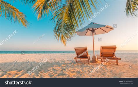 Tranquil Beach Scene Exotic Tropical Beach Stock Photo