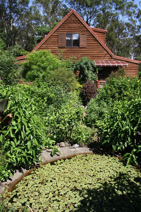 The House Is Surrounded By Lush Green Plants And Trees With A Pond In