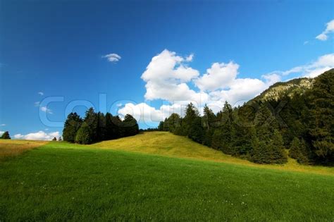 Alpine Landscape With Bright Blue Sky And Mountain Stock