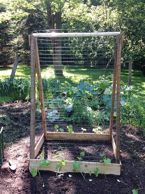 Depending on where and how you are going to attach your trellis to a permanent foundation, you may want to notch where you are going to place hardware. Make A Cucumber Trellis Out Of Scrap Wood | Cucumber ...