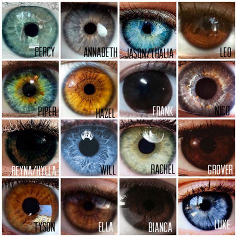 Pjo Hoo Eyes Eye Color Chart Rare Eye Colors Beautiful Eyes Color