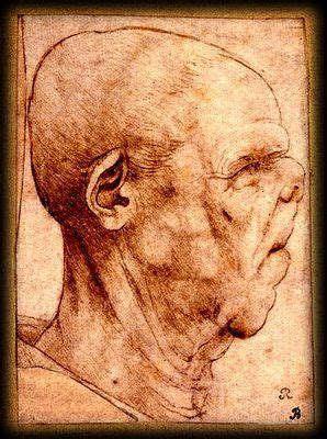 Renaissance Oeuvre L Onard De Vinci By Affiche Gif