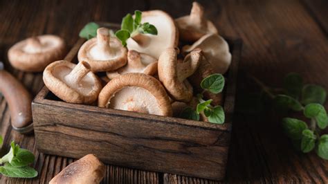 What Happens To Your Body When You Eat Mushrooms Every Day