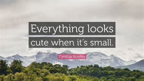 Cynthia Rowley Quote Everything Looks Cute When Its Small