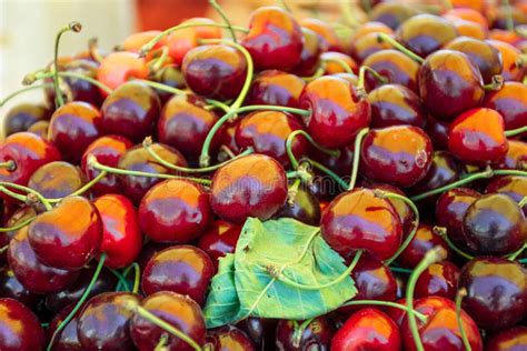 Fresh Cherries In A Farmer Agricultural Open Air Market Seasonal