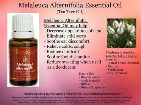 There is some evidence to show that tea tree oil may have several uses. Melaleuca on Pinterest