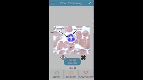 Usmle Step 1 Microbiology Pathology Cram Cards Youtube