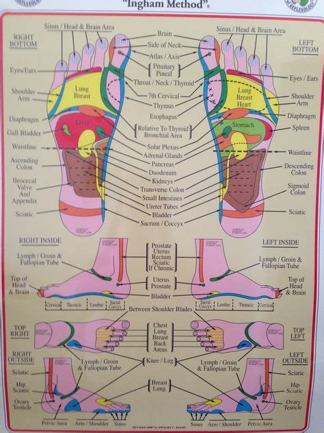 The Ingham Reflexology Chart Reflexology Healing Thyroid