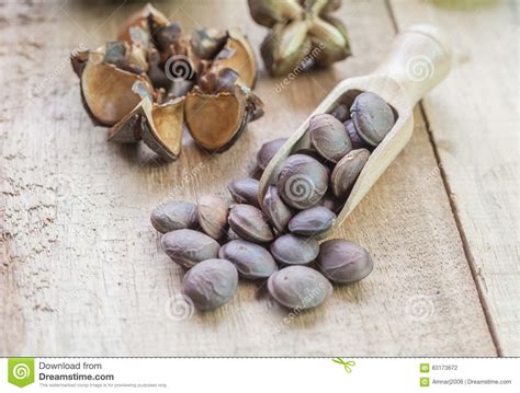 Dried Capsule Seeds Fruit Of Sacha Inchi Peanut Stock Photo Image Of