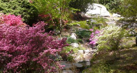 Es ist eine welt voller wunder und geheimnisse und die unverbesserlichen romantiker sehen den garten. The Connecticut College Arboretum | My Blog