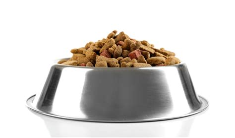 While you may not like them plain, your dog won't mind. Can I Give My Cat Dog Food? | PetCoach